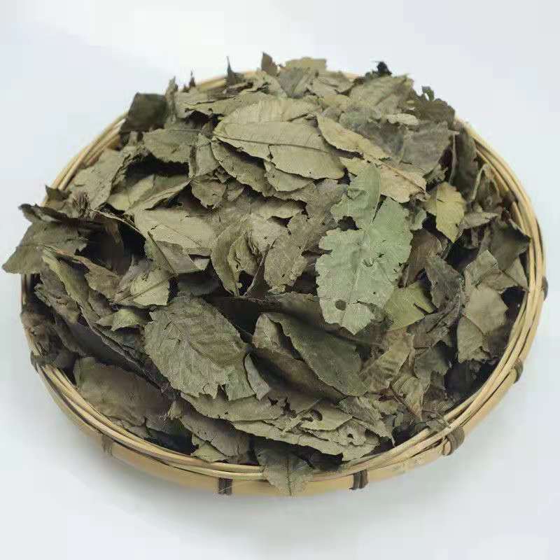 Qing Qian Liu Ye 青钱柳叶, Cyclocarya Paliurus Leaf Tea, Lower Blood Pressure Herba Tea-Health Wisdom™