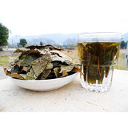 Qing Qian Liu Ye 青钱柳叶, Cyclocarya Paliurus Leaf Tea, Lower Blood Pressure Herba Tea-Health Wisdom™
