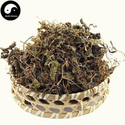 Qing Tian Kui 青天葵, Herba Nerviliae Fordii, Nervilia Fordii Herb, Du Ye Lian-Health Wisdom™