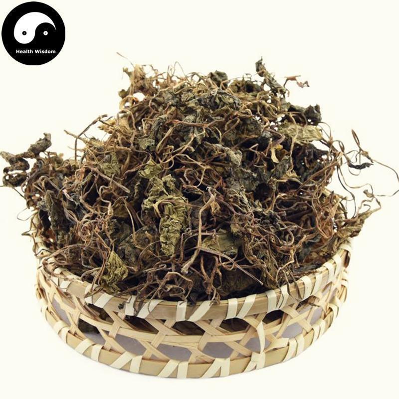 Qing Tian Kui 青天葵, Herba Nerviliae Fordii, Nervilia Fordii Herb, Du Ye Lian-Health Wisdom™