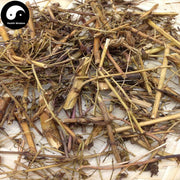 Qing Ye Dan 青葉膽, Herba Swertiae Mileensis, Mile Swertia Herb-Health Wisdom™
