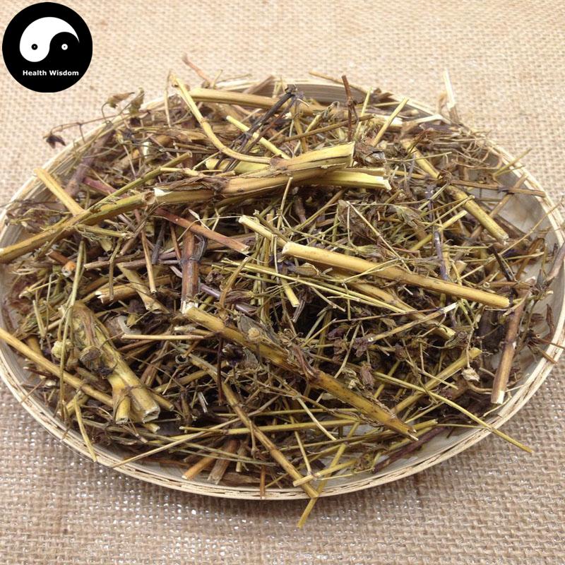 Qing Ye Dan 青葉膽, Herba Swertiae Mileensis, Mile Swertia Herb-Health Wisdom™