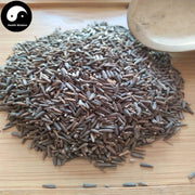 Qu Chong Ban Jiu Ju 斑鸠菊, Ver-nohia Anthelmintica, Shan Hui Xiang-Health Wisdom™