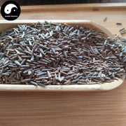 Qu Chong Ban Jiu Ju 斑鸠菊, Ver-nohia Anthelmintica, Shan Hui Xiang-Health Wisdom™