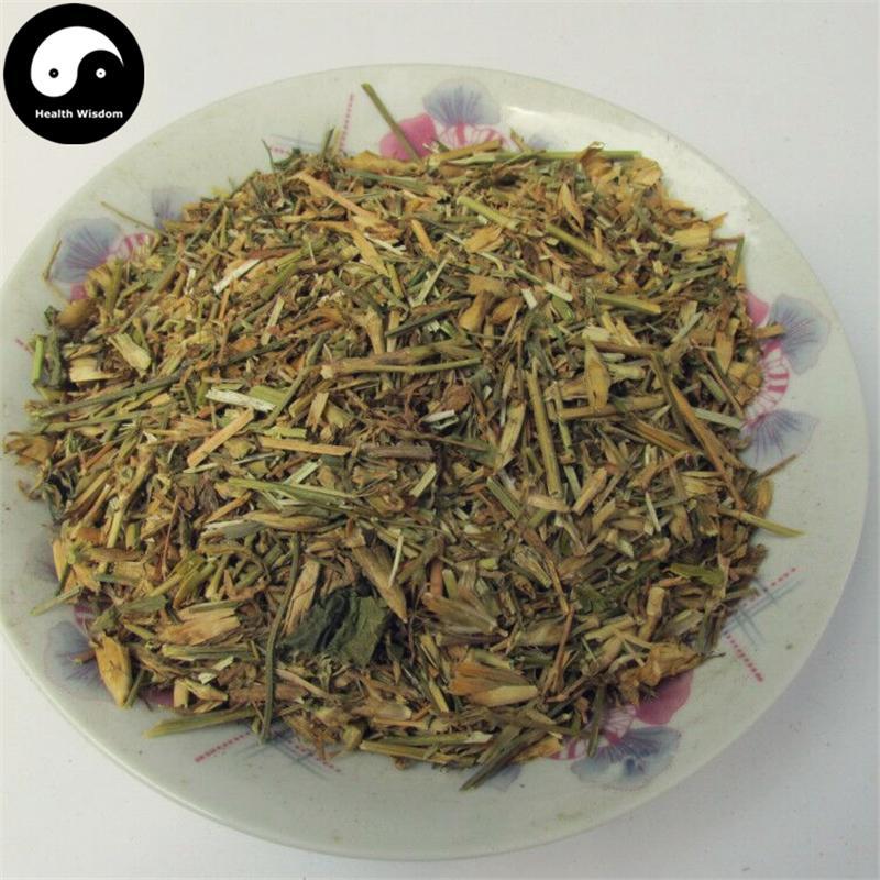 Qu Mai 瞿麥, Dianthus Superbus, Herba Dianthi-Health Wisdom™