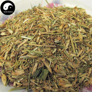 Qu Mai 瞿麥, Dianthus Superbus, Herba Dianthi-Health Wisdom™