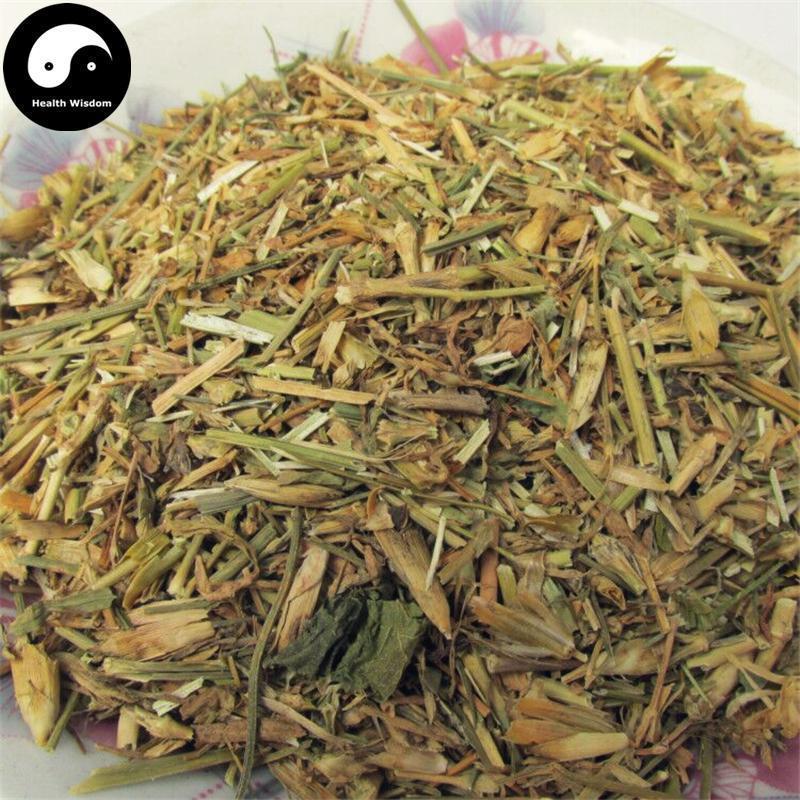 Qu Mai 瞿麥, Dianthus Superbus, Herba Dianthi-Health Wisdom™