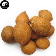 Qu Tou Ji 屈头鸡, Capperis Versicolor Griff-Health Wisdom™