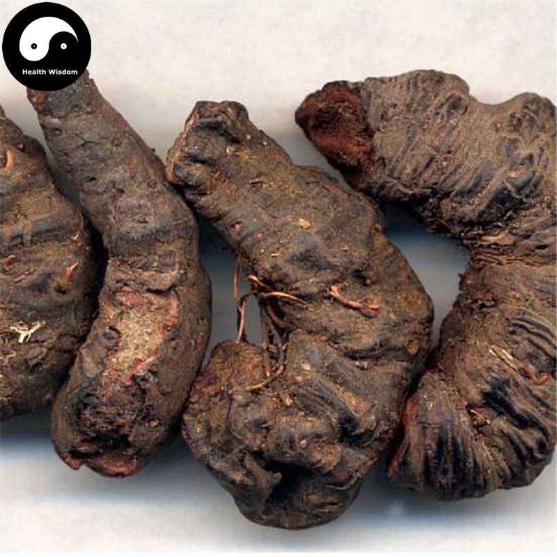 Quan Shen 拳參, Rhizoma Bistortae, Bistort Rhizome, Zi Shen-Health Wisdom™