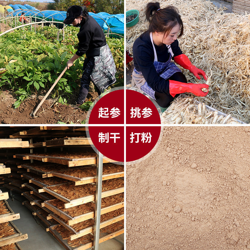 Red Ginseng Roots Powder, Radix Korean Ginseng, Gao Li Shen 高丽参 Pure Hong Shen Fen 红参粉-Health Wisdom™