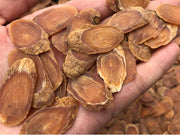 Red Ginseng Roots Slices, 8 Years Korean Ginseng Root, Gao Li Shen 高丽参 Hong Shen Pian 红参片-Health Wisdom™