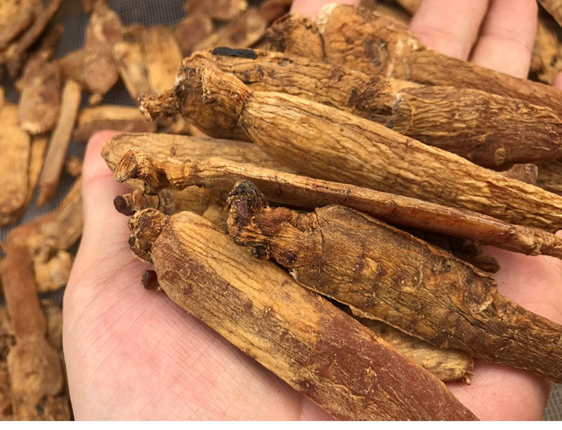 Red Ginseng Roots Slices, 8 Years Korean Ginseng Root, Gao Li Shen 高丽参 Hong Shen Pian 红参片-Health Wisdom™