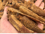 Red Ginseng Roots Slices, 8 Years Korean Ginseng Root, Gao Li Shen 高丽参 Hong Shen Pian 红参片-Health Wisdom™