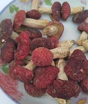 Red Mushroom, Chinese Russula Vinosa, Hong Gu 红菇 For Woman Health Care-Health Wisdom™