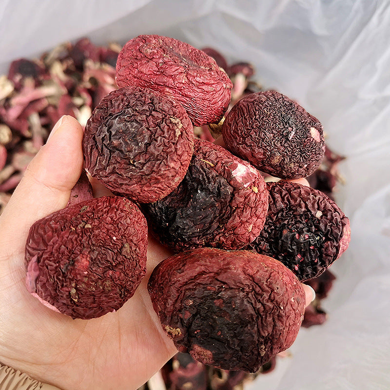 Red Mushroom, Chinese Russula Vinosa, Hong Gu 红菇 For Woman Health Care-Health Wisdom™