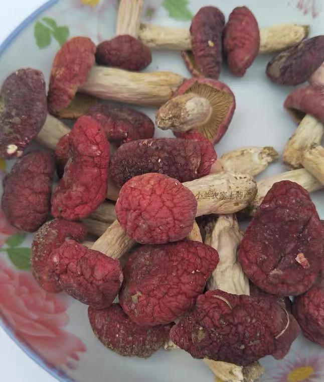 Red Mushroom, Chinese Russula Vinosa, Hong Gu 红菇 For Woman Health Care-Health Wisdom™