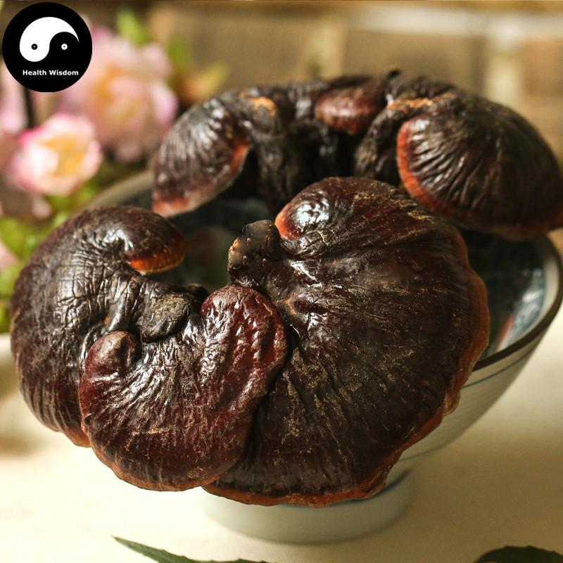 Reishi Mushroom, Dried Ganoderma Lucidum Tea, Purple Lingzhi, Zi Ling Zhi 紫灵芝-Health Wisdom™