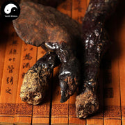Reishi Mushroom, Ganoderma Lucidum Tea, Wild Dried Ling Zhi, Chi Zhi 赤芝-Health Wisdom™