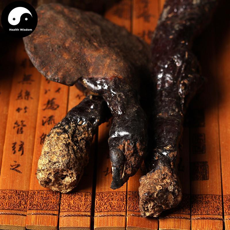 Reishi Mushroom, Ganoderma Lucidum Tea, Wild Dried Ling Zhi, Chi Zhi 赤芝-Health Wisdom™