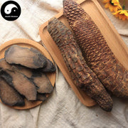 Rou Cong Rong 肉蓯蓉, Herba Tea Cistanche, Desertliving Cistanche, Da Yun-Health Wisdom™