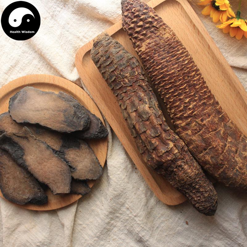 Rou Cong Rong 肉蓯蓉, Herba Tea Cistanche, Desertliving Cistanche, Da Yun-Health Wisdom™