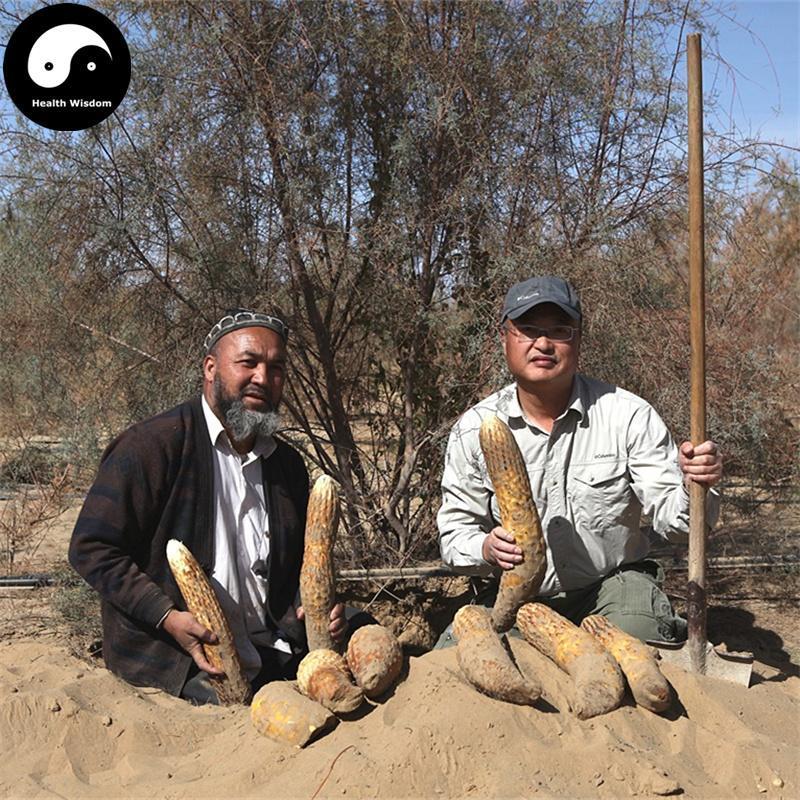 Rou Cong Rong 肉蓯蓉, Herba Tea Cistanche, Prepared Desertliving Cistanche, Da Yun-Health Wisdom™