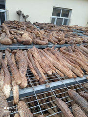 Rou Cong Rong 肉蓯蓉, Herba Tea Cistanche, Prepared Desertliving Cistanche, Da Yun-Health Wisdom™