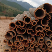 Rou Gui 肉桂, Cortex Cinnamomi, Cinnamon Bark, Gui Xin, Guan Gui, Gui Pi 桂皮-Health Wisdom™