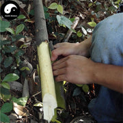 Rou Gui 肉桂, Cortex Cinnamomi, Cinnamon Bark, Gui Xin, Guan Gui, Gui Pi 桂皮-Health Wisdom™