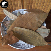 Rou Gui Ye 肉桂葉, Folium Cinnamomi, Cinnamomum Cassia Leaf, Cassiabarktree Leaf-Health Wisdom™
