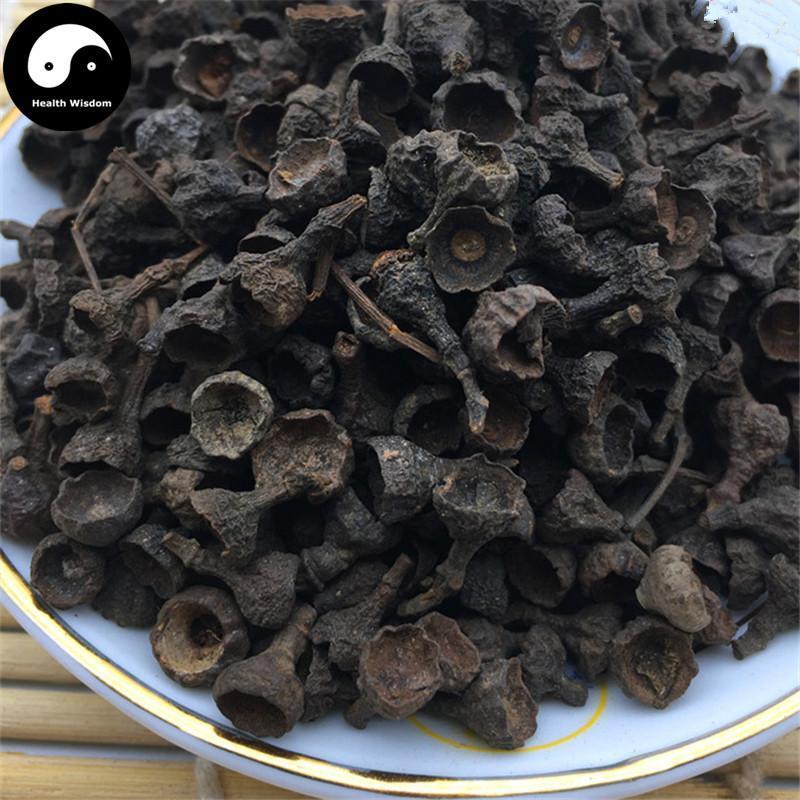 Rou Gui Zi 肉桂子, Gui Ding Xiang, Fruit of Japanese Cinnamon, Fructus Cinnamomi Japonici-Health Wisdom™