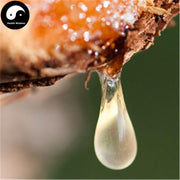 Ru Xiang 乳香(生), Olibanum, Frankincense, Boswellia, Mastic-Health Wisdom™