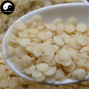 Rui Ren Rou 蕤仁肉, White Nux Prinsepiae, Hedge Prinsepia Nut-Health Wisdom™