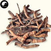 San Bai Cao Gen 三白草根, Saururi Rhizoma, Saururus Chinensis Root-Health Wisdom™