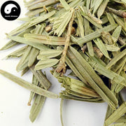 San Jian Shan 三尖杉, Cephalotaxus Fortunei Leaf-Health Wisdom™