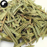 San Jian Shan 三尖杉, Cephalotaxus Fortunei Leaf-Health Wisdom™
