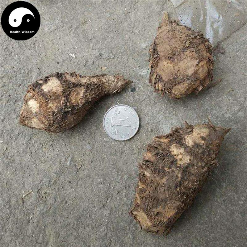 San Leng 三棱, Rhizoma Sparganii, Common Burreed Rhizome, Jing San Leng-Health Wisdom™