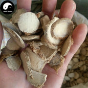 San Leng 三棱, Rhizoma Sparganii, Common Burreed Rhizome, Jing San Leng-Health Wisdom™