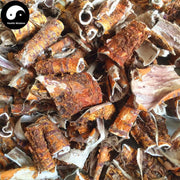 Sang Bai Pi 桑白皮, Cortex Mori, White Mulberry Root Bark, Sang Pi-Health Wisdom™