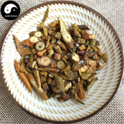 Sang Ji Sheng 桑寄生, Herba Taxilli, Chinese Taxillus Twig, Taxillus Sutchuenensis-Health Wisdom™