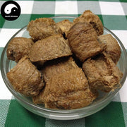 Sang Piao Shao 桑螵蛸, Ootheca Mantidis, Praying Mantis Egg-Case-Health Wisdom™