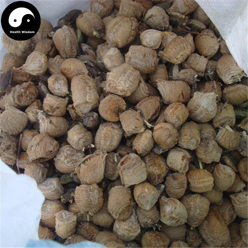 Sang Piao Shao 桑螵蛸, Ootheca Mantidis, Praying Mantis Egg-Case-Health Wisdom™