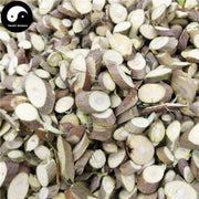 Sang Zhi 桑枝, Ramulus Mori, Mulberry Twig-Health Wisdom™