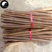 Sang Zhi 桑枝, Ramulus Mori, Mulberry Twig-Health Wisdom™