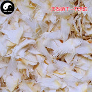 Sha Yu Chi Gu 鲨鱼翅骨, Fin, Soft Fish Bones, Health Tonic Soup Yu Chi-Health Wisdom™