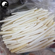 Sha Yu Long Gu 鲨鱼龙骨, Fish Bones, Health Tonic Soup-Health Wisdom™
