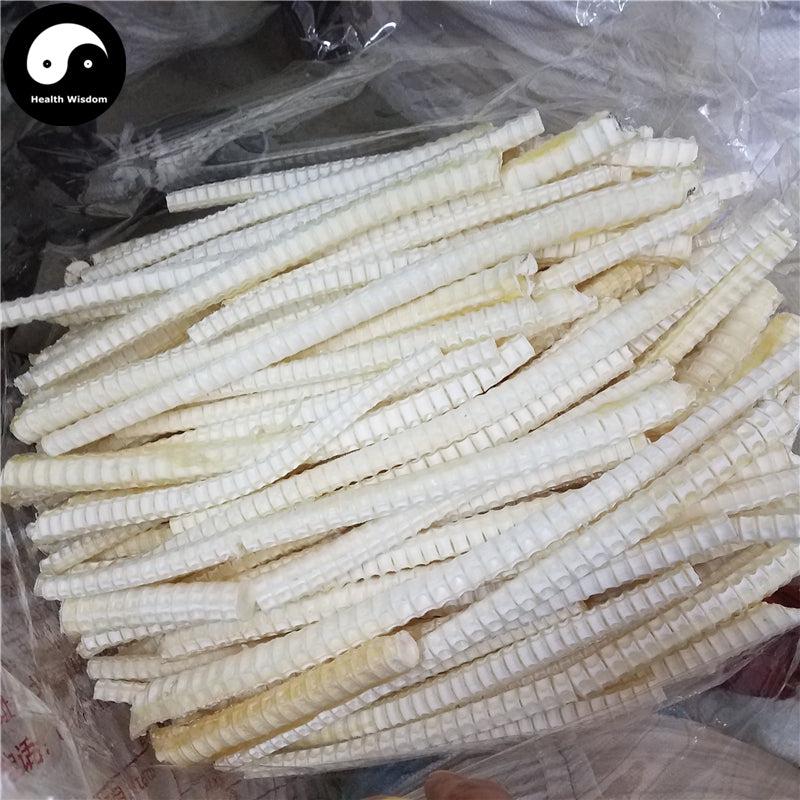 Sha Yu Long Gu 鲨鱼龙骨, Fish Bones, Health Tonic Soup-Health Wisdom™