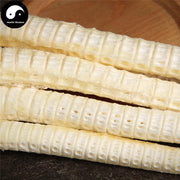 Sha Yu Long Gu 鲨鱼龙骨, Fish Bones, Health Tonic Soup-Health Wisdom™