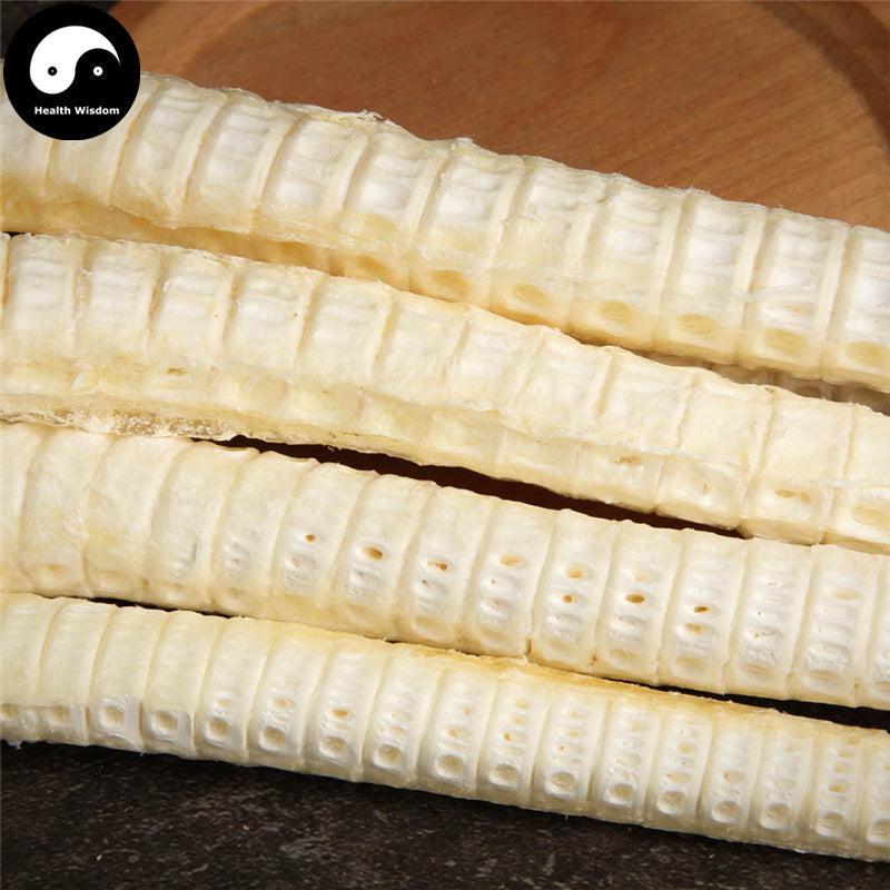 Sha Yu Long Gu 鲨鱼龙骨, Fish Bones, Health Tonic Soup-Health Wisdom™