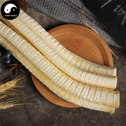 Sha Yu Long Gu 鲨鱼龙骨, Fish Bones, Health Tonic Soup-Health Wisdom™